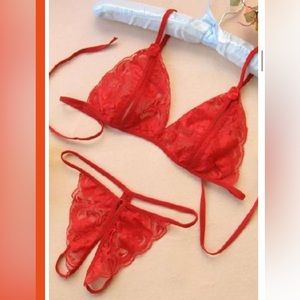Lace Embroidered Sexy Bra Suit Red new with tag